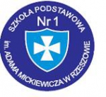 szkola_podstawowa_nr_1_w_rzeszowie